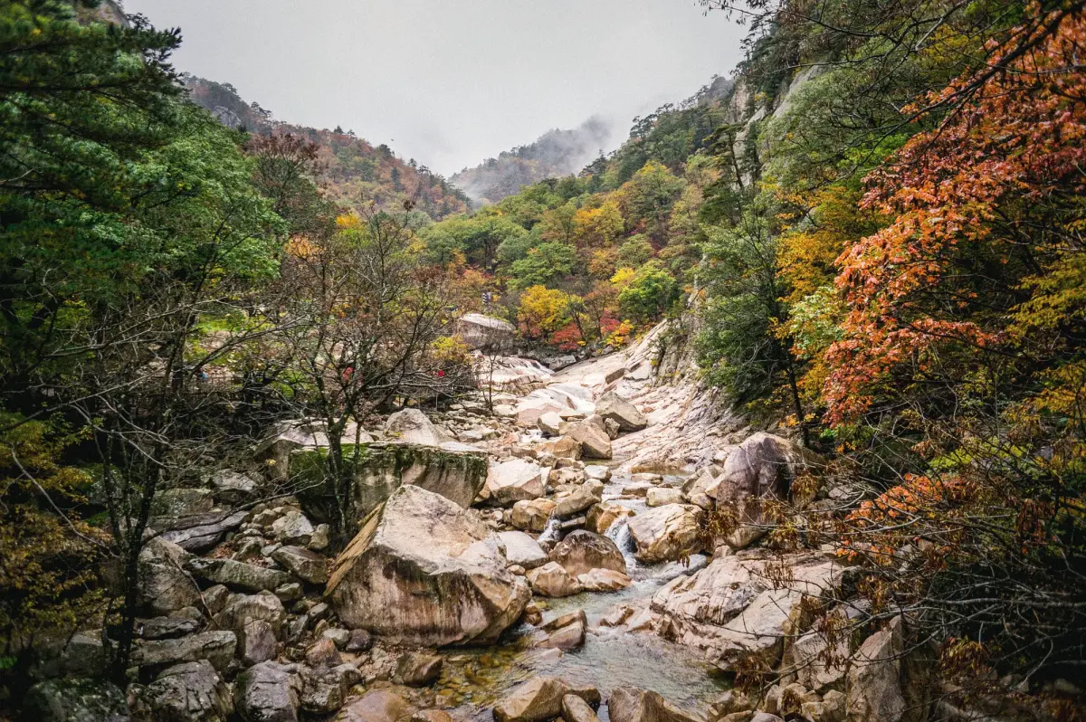 Autumn Between Mountains, Gardens, and Volcanoes