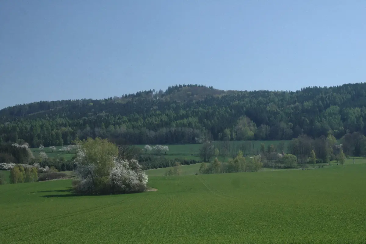 How Did Czechia Manage to Preserve Its Harmony?