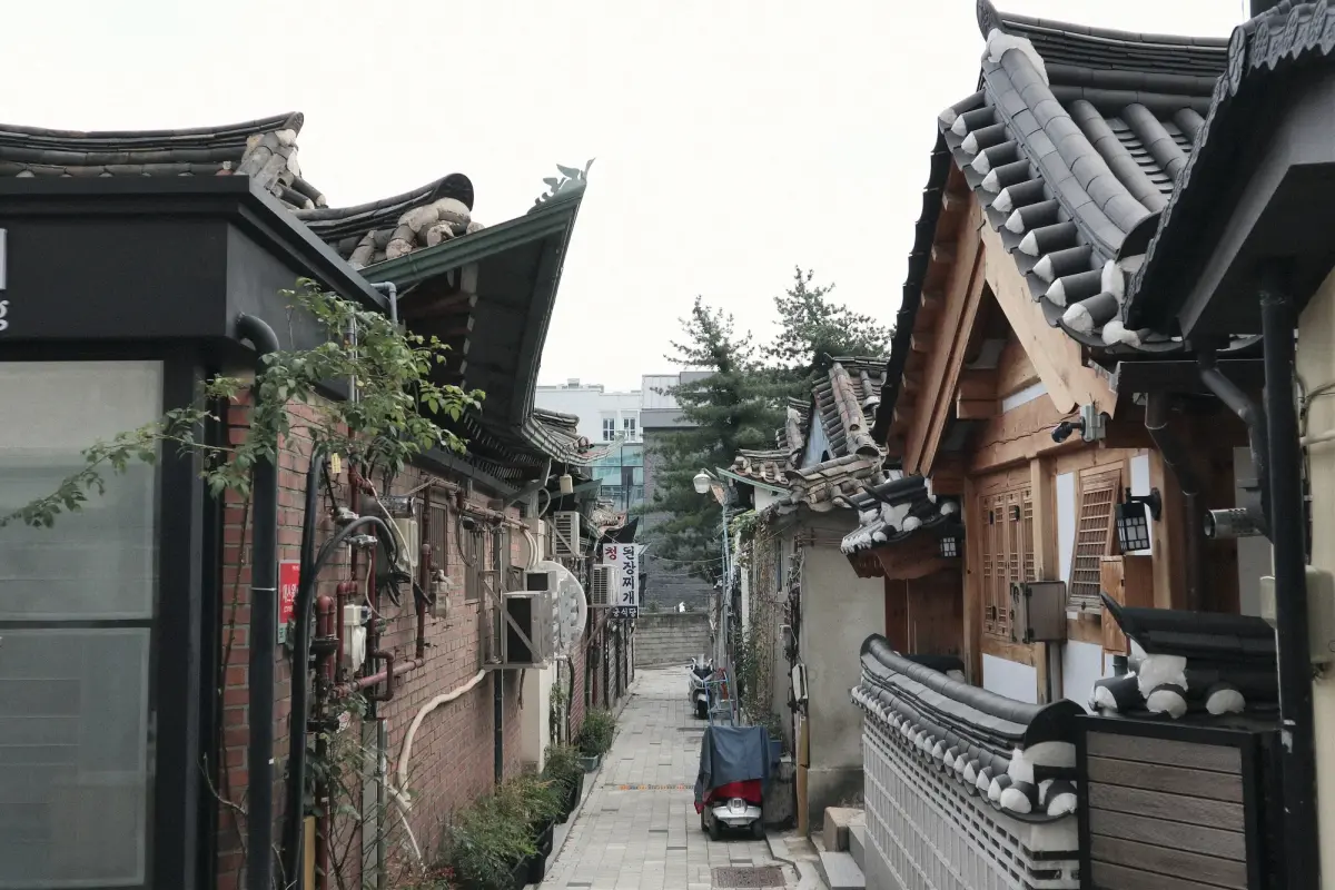 South Korea Through the Eyes of Pedestrians