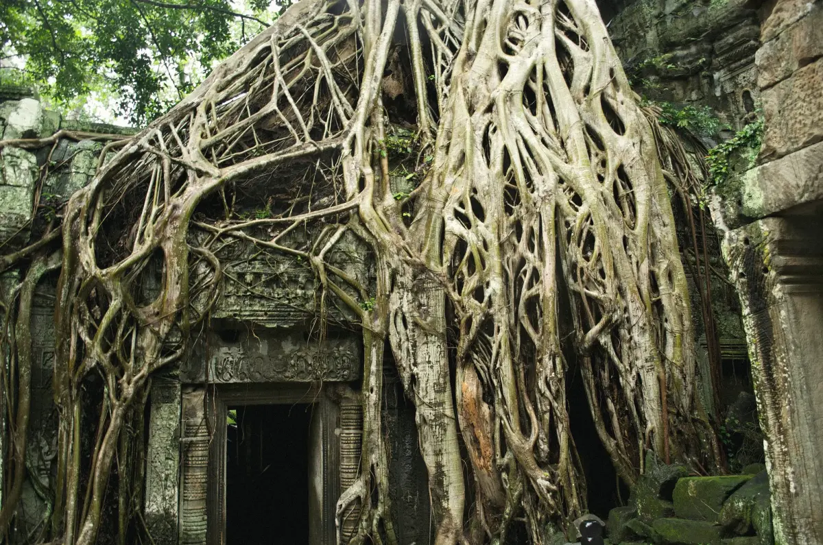 Cambodia